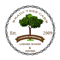 Brad's Tree Care - Liscensed, Bonded, & Insured