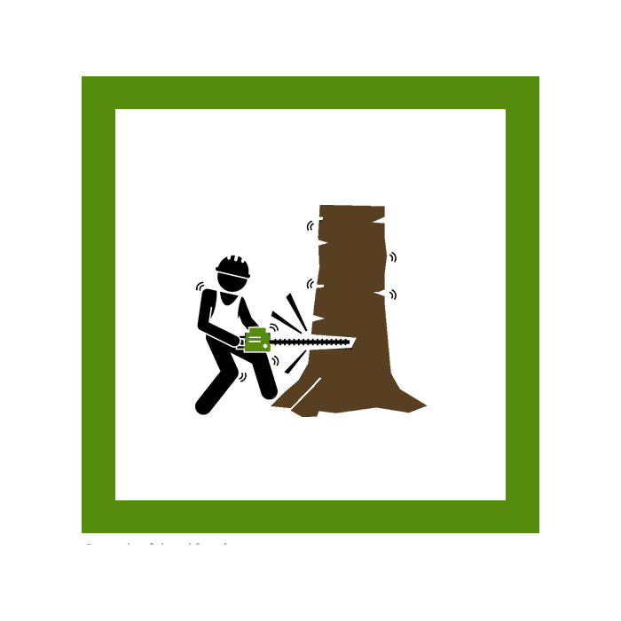 Tree Removal