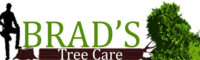 brads tree care